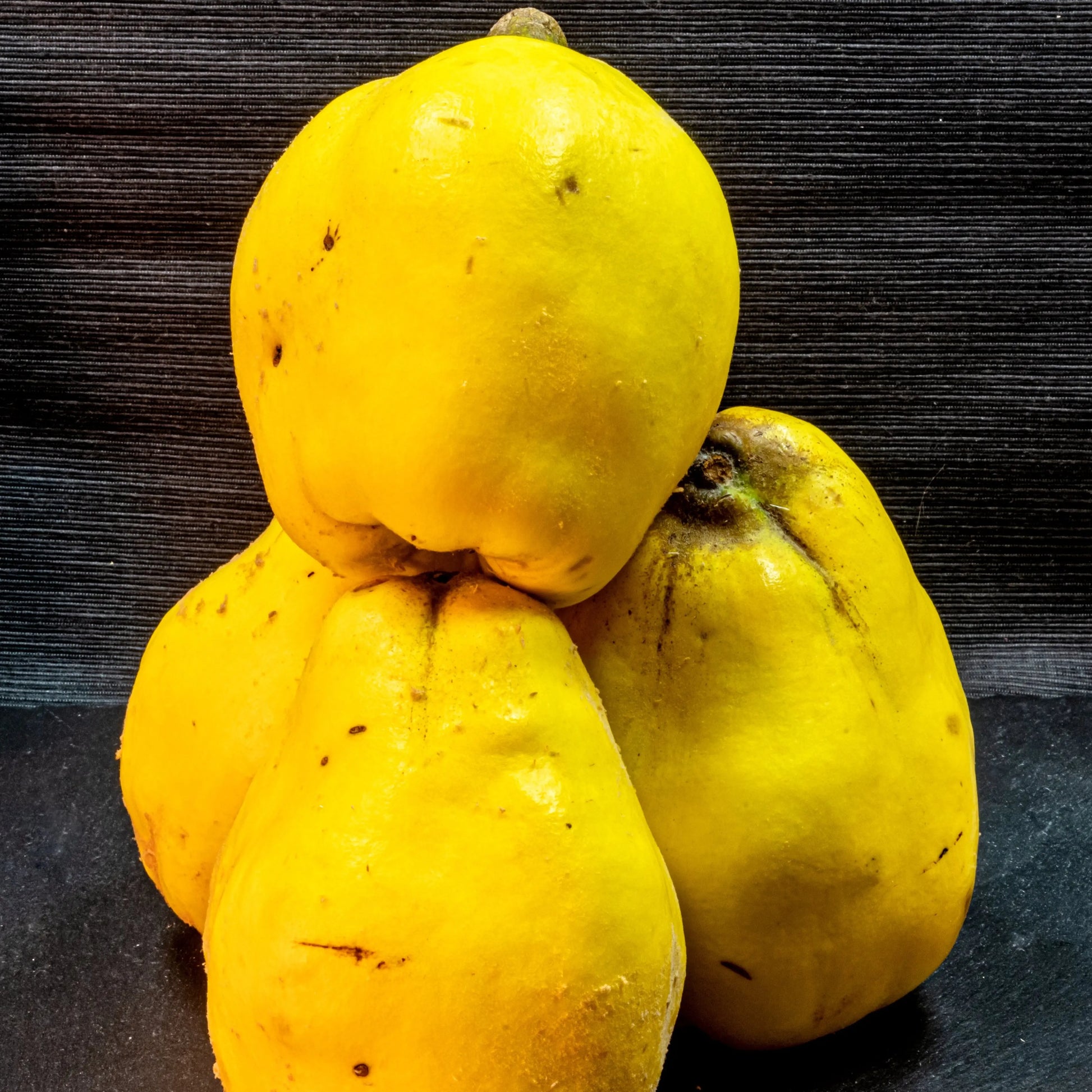 COGNASSIER GEANT DE VRANJA AB - PLANT 