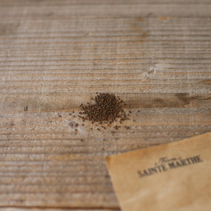 COMPAGNON ROUGE OU SILENE DIOIQUE AB 