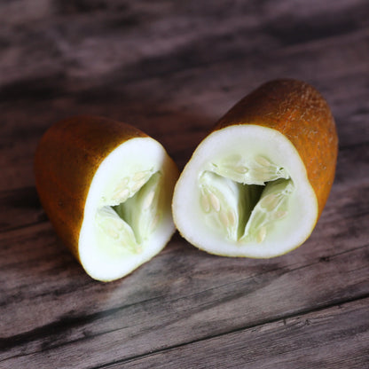 CONCOMBRE KAISER ALEXANDER AB 