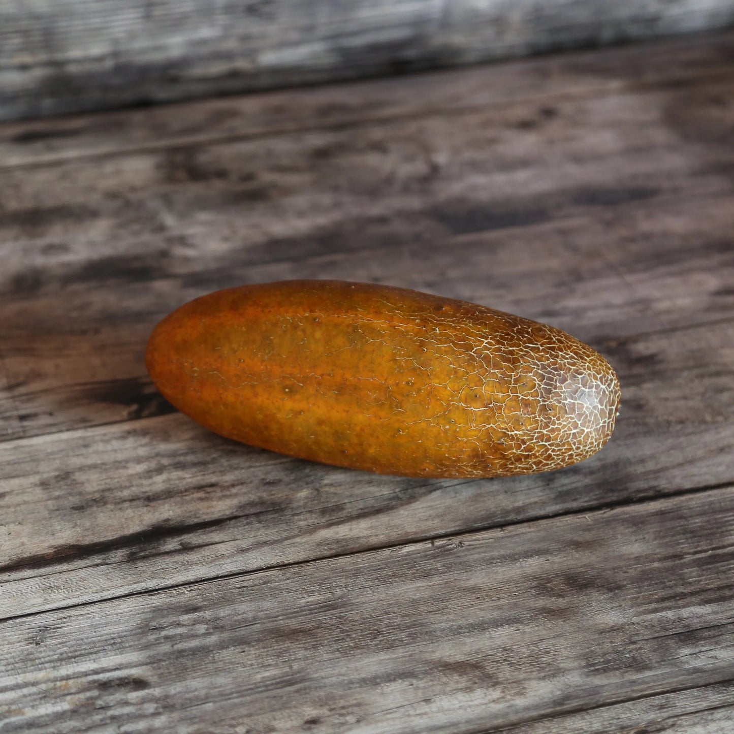 CONCOMBRE KAISER ALEXANDER AB 