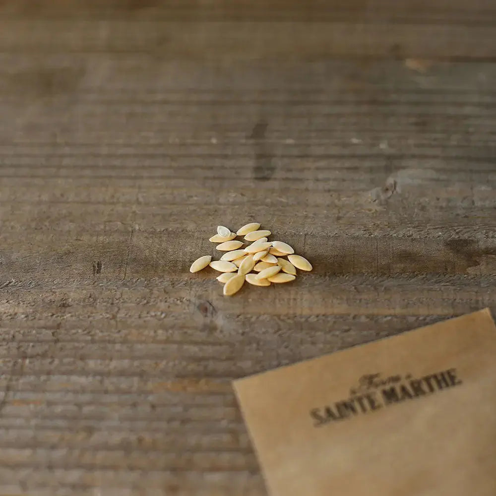 CONCOMBRE KIWANO ROND BLANC AB