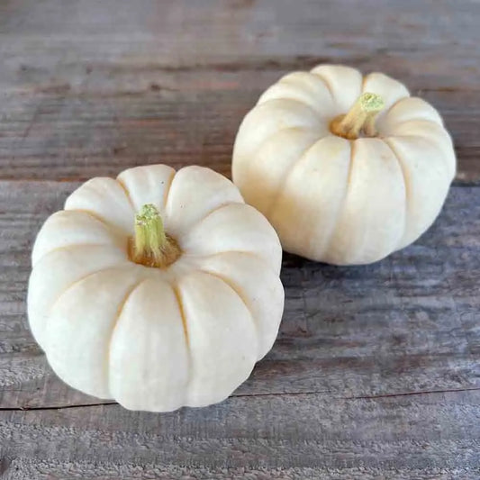 COURGE BABY BOO AB 
