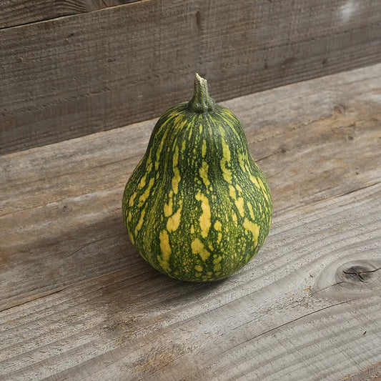 COURGE MUSQUEE AYOTE A CHAIR VERTE DU GUATEMALA AB 