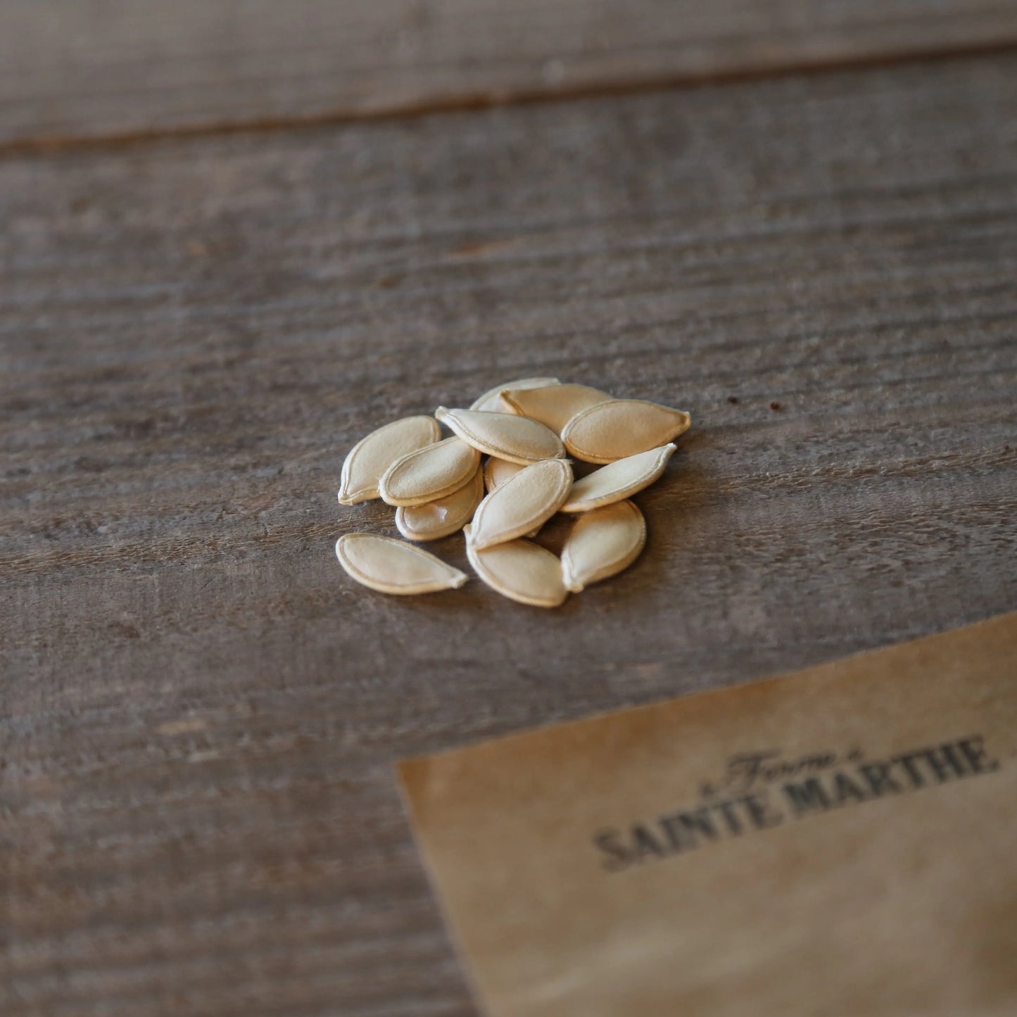 COURGE MUSQUEE NEW ENGLAND PIE AB