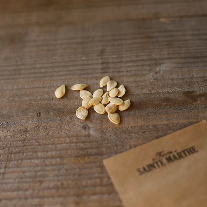 15 Graines à Semer - Le Grenier D'Abondance - COURGE Patisson Blanc - Foto 7
