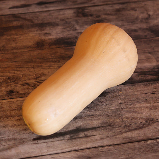 COURGE MUSQUEE NUTTERBUTTER AB 