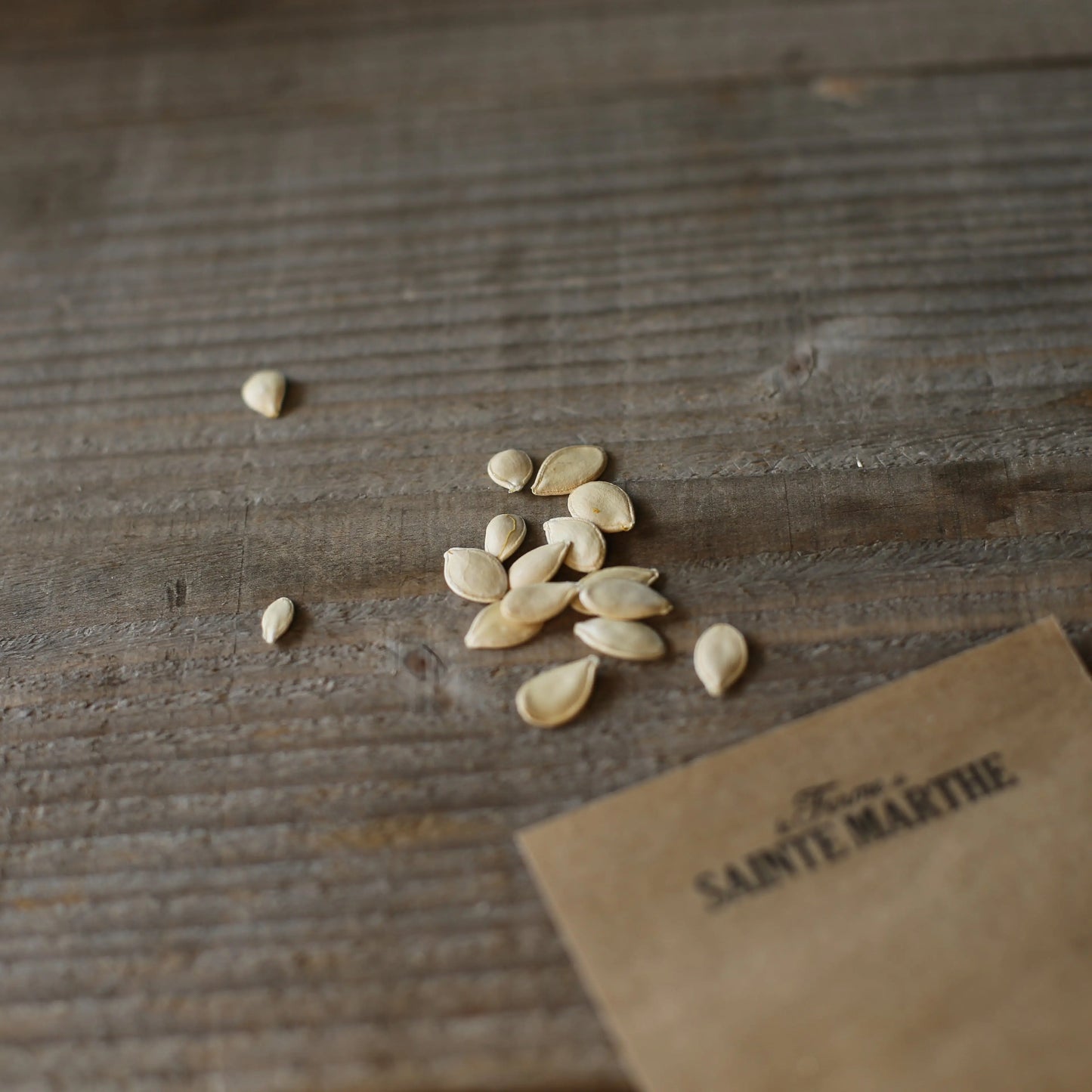COURGES EN MELANGE (Table gold, Cornue d'hiver) AB