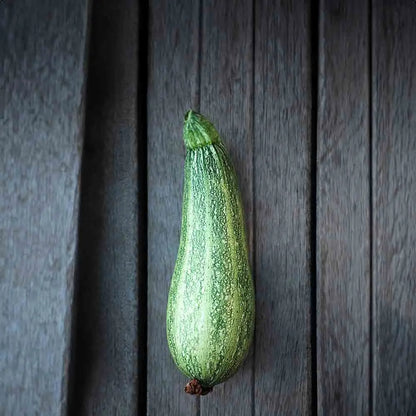 COURGETTE CASERTA AB 