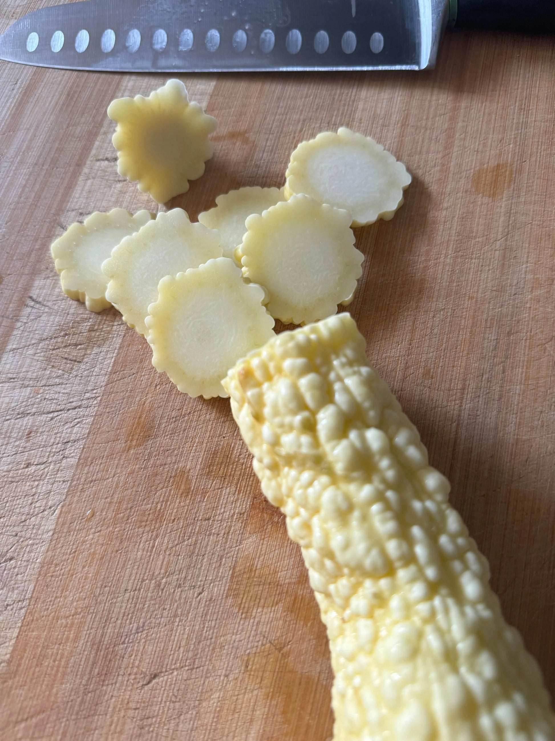 COURGETTE POP-CORN OU RUGOSA FRIULANA AB 