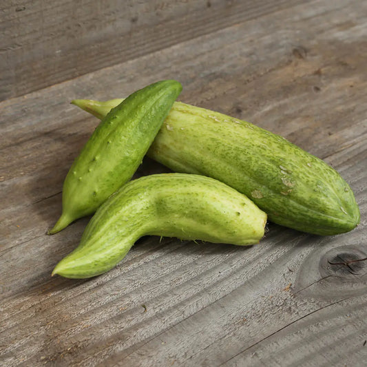 CYCLANTHERE GEANT AB 