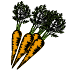 Carrots