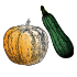 Graines de courges & Courgettes