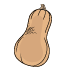 Graines de courges musquées