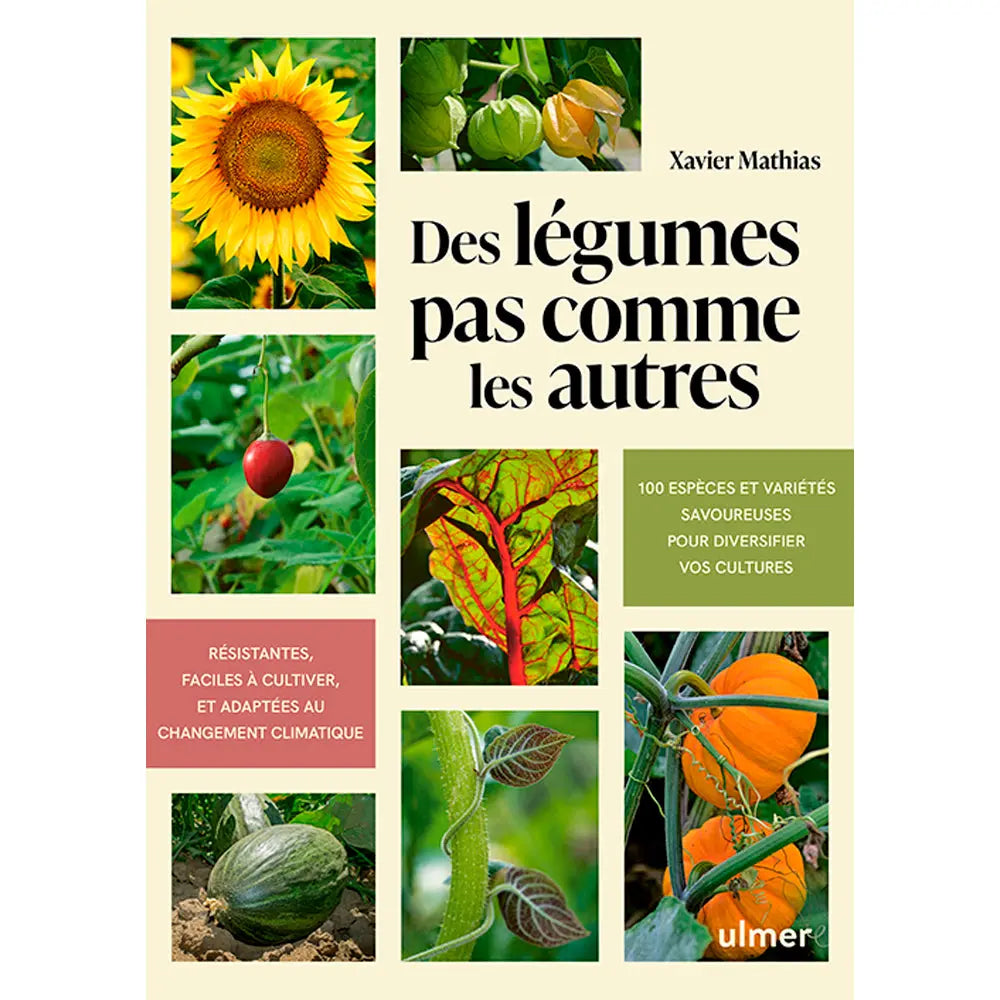 DES LÉGUMES PAS COMME LES AUTRES 