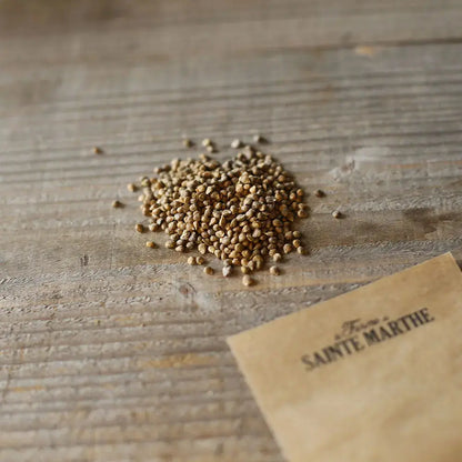 EPINARD PREMIERE RECOLTE AB