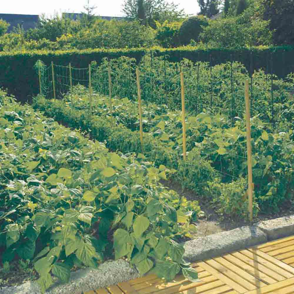 FILET A RAMER 1 x 5 m 