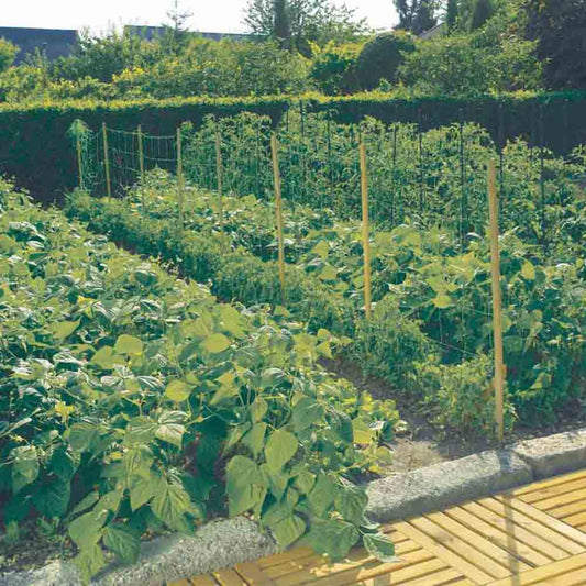 FILET A RAMER 2 x 5 m 