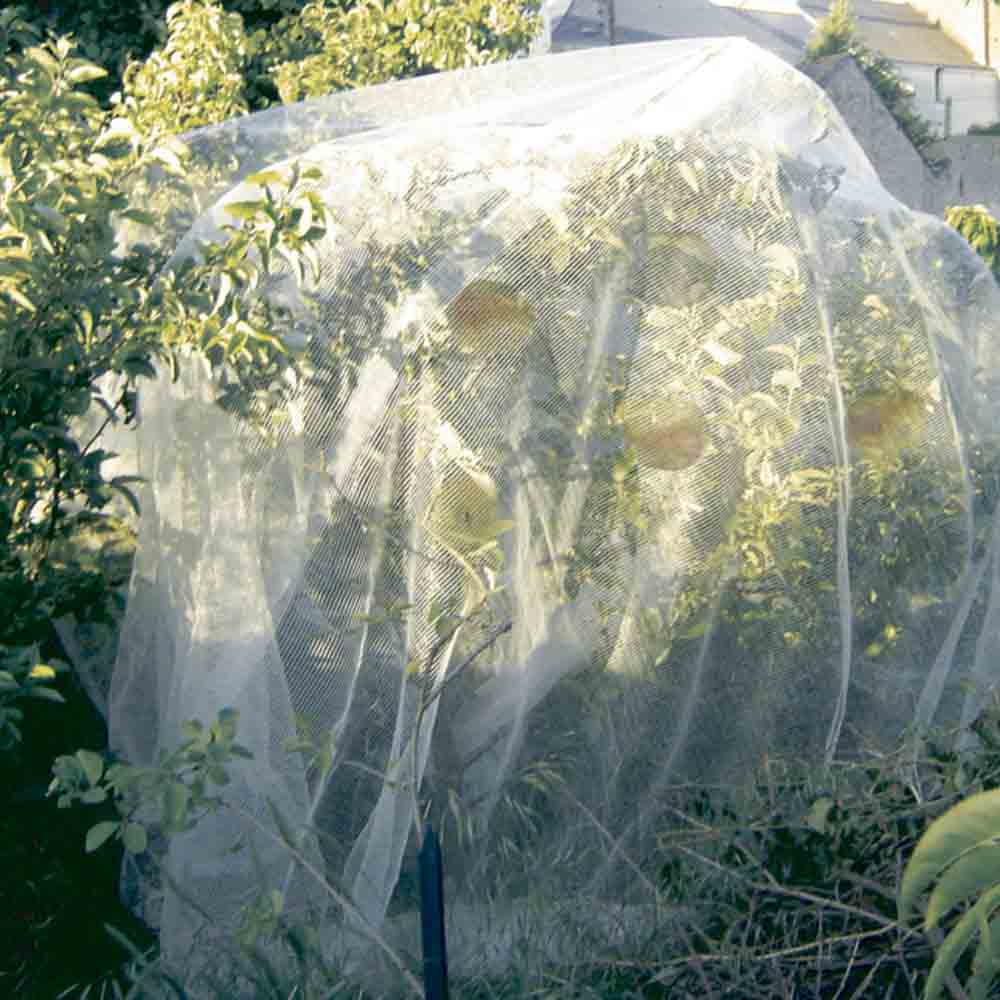 FILET DE PROTECTION CONTRE LES OISEAUX 