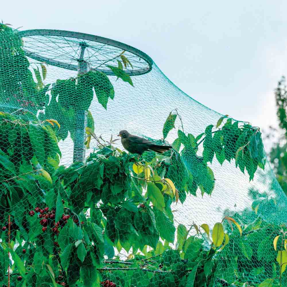 FILET DE PROTECTION CONTRE LES OISEAUX 