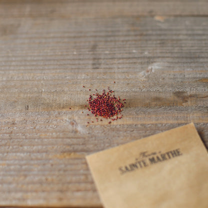 FRAISIER DES QUATRE SAISONS NT