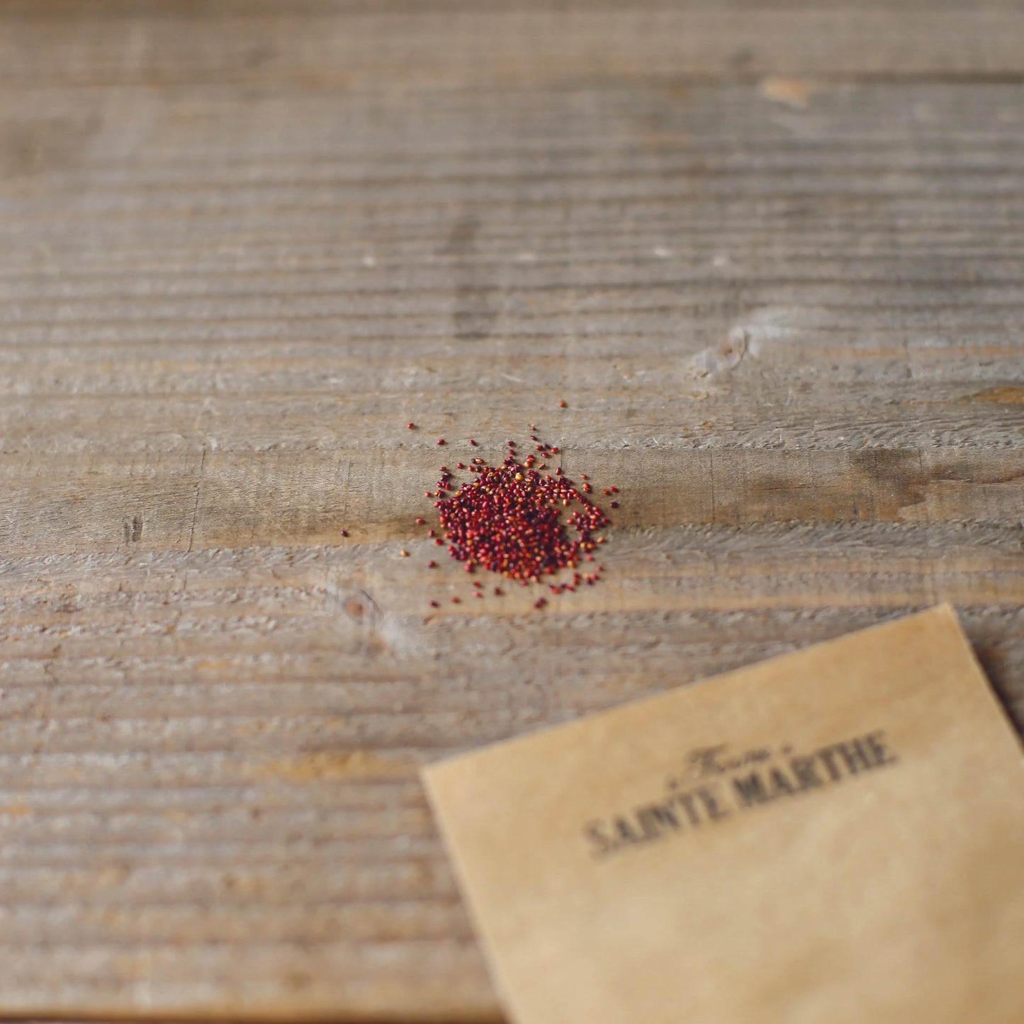 FRAISIER REINE DES VALLEES AB