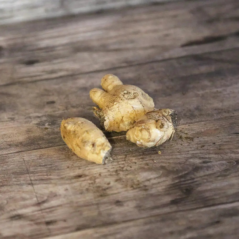 GINGEMBRE NT - (Rhizome) 