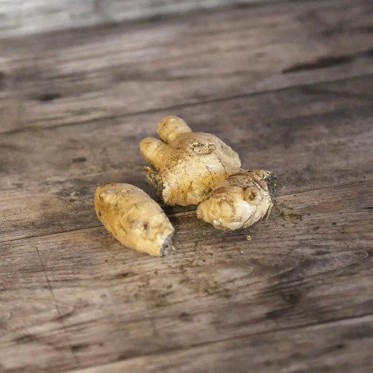 GINGEMBRE NT - (Rhizome) 