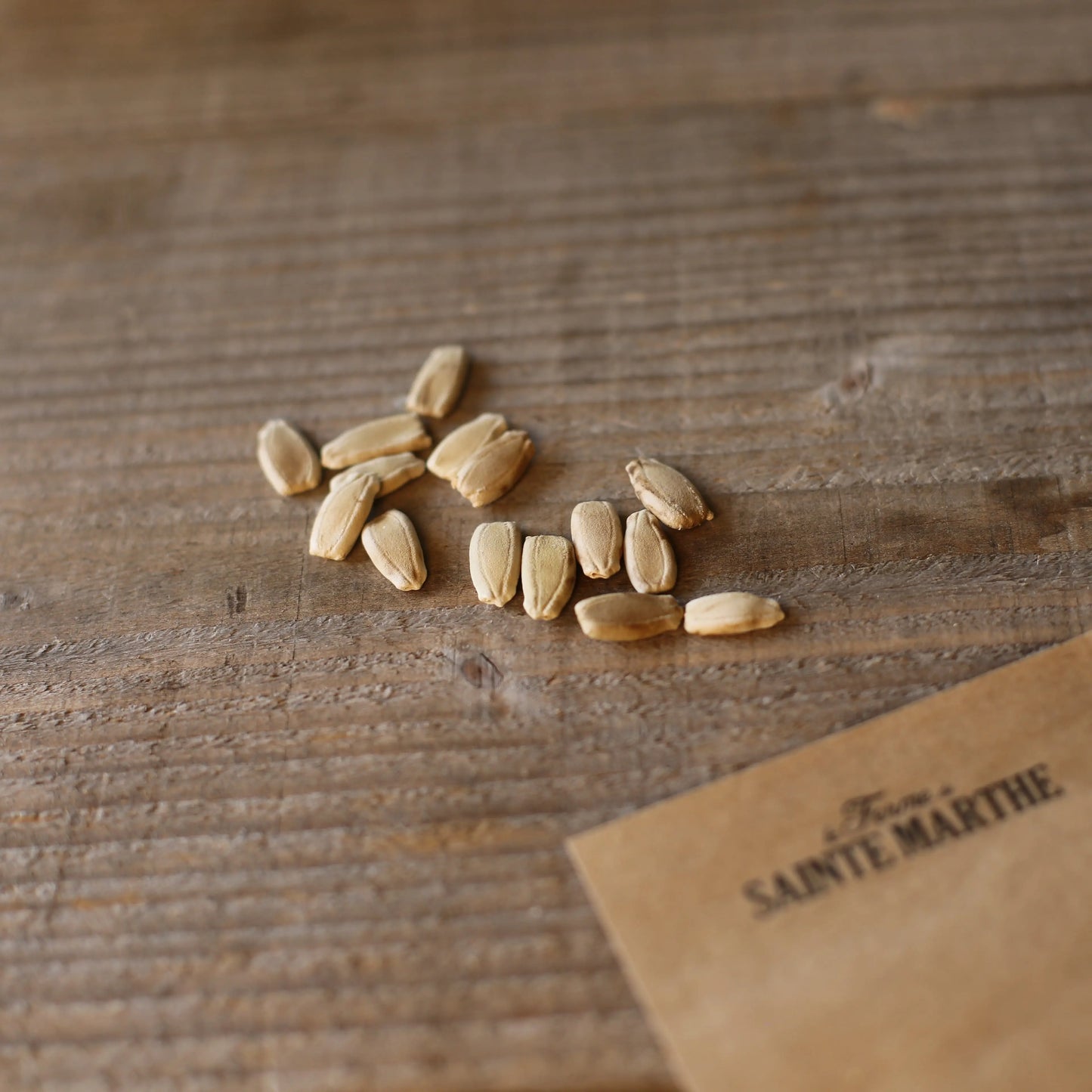 GOURDE OU CALEBASSE POIRE A POUDRE AB