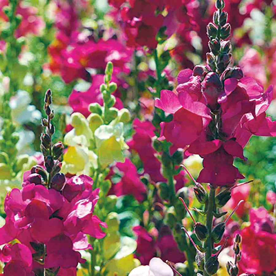 Was ist neu im Jahr 2025