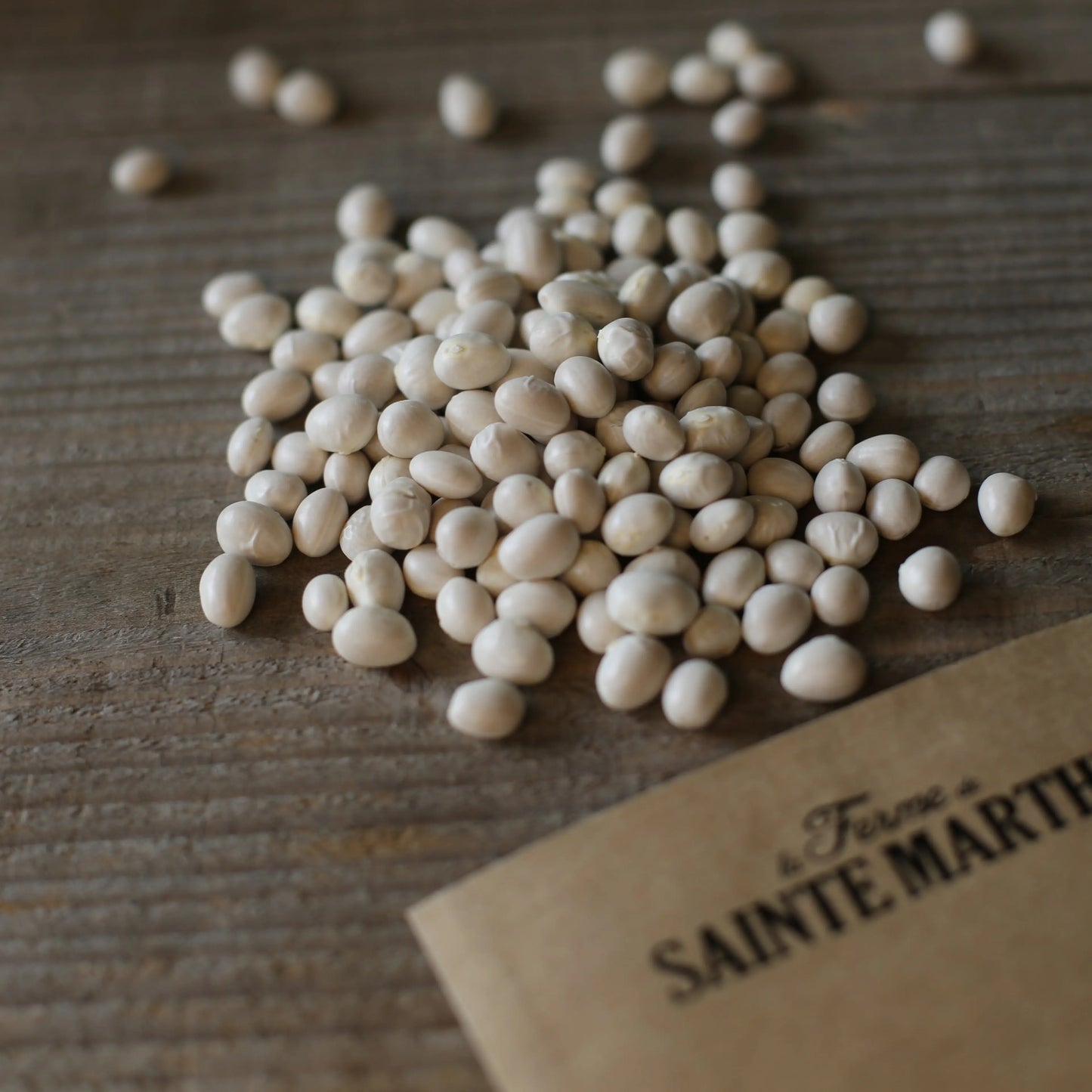 HARICOT A RAMES COCO GROS SOPHIE A ECOSSER AB