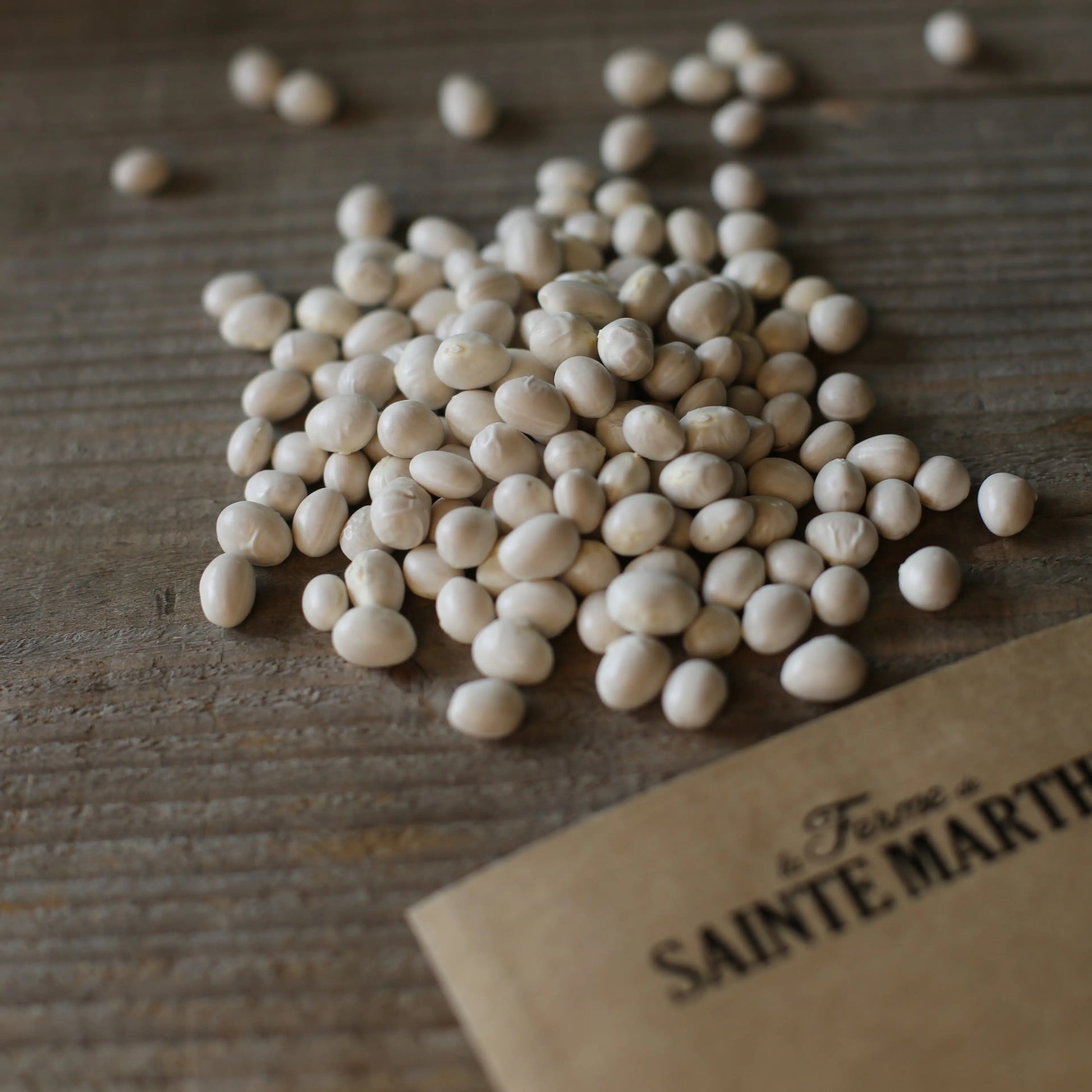 HARICOT A RAMES COCO GROS SOPHIE A ECOSSER AB