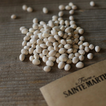 HARICOT A RAMES COCO GROS SOPHIE A ECOSSER AB