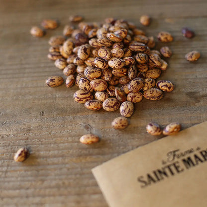 HARICOT A RAMES LANGUE DE FEU 2 A ECOSSER AB 