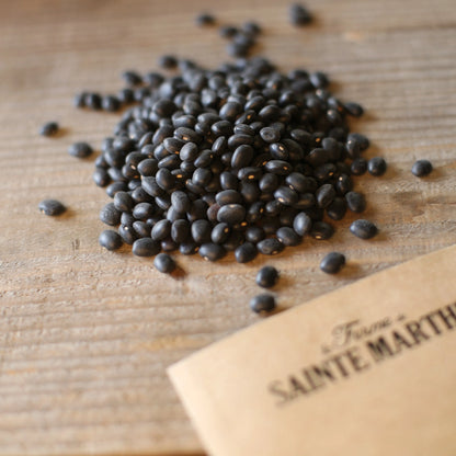 HARICOT NAIN CANADIAN WONDER A ECOSSER AB