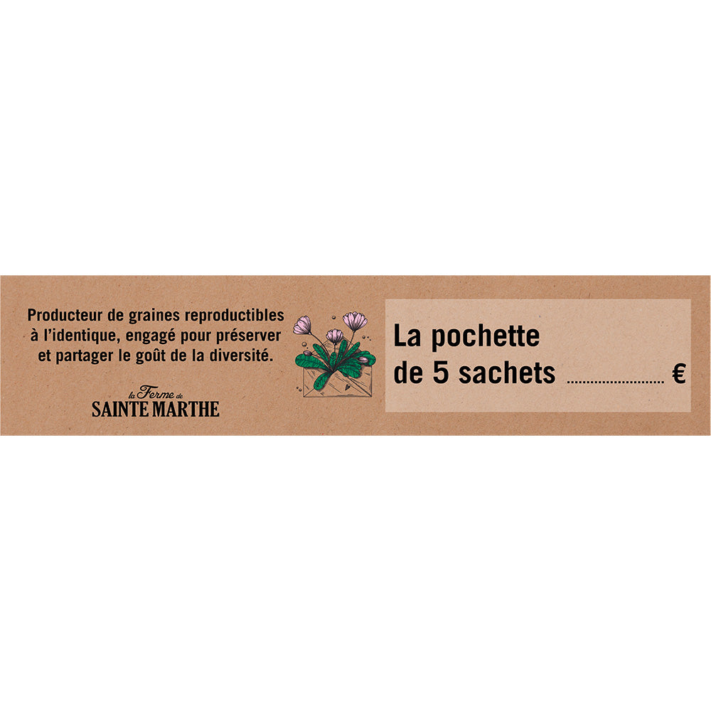 PLV ADHÉSIVE KAKEMONO 6x28CM PRÉSENTOIR 6 CASES 