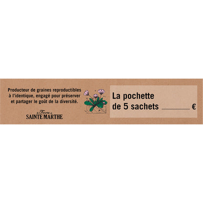 PLV ADHÉSIVE KAKEMONO 6x28CM PRÉSENTOIR 6 CASES 
