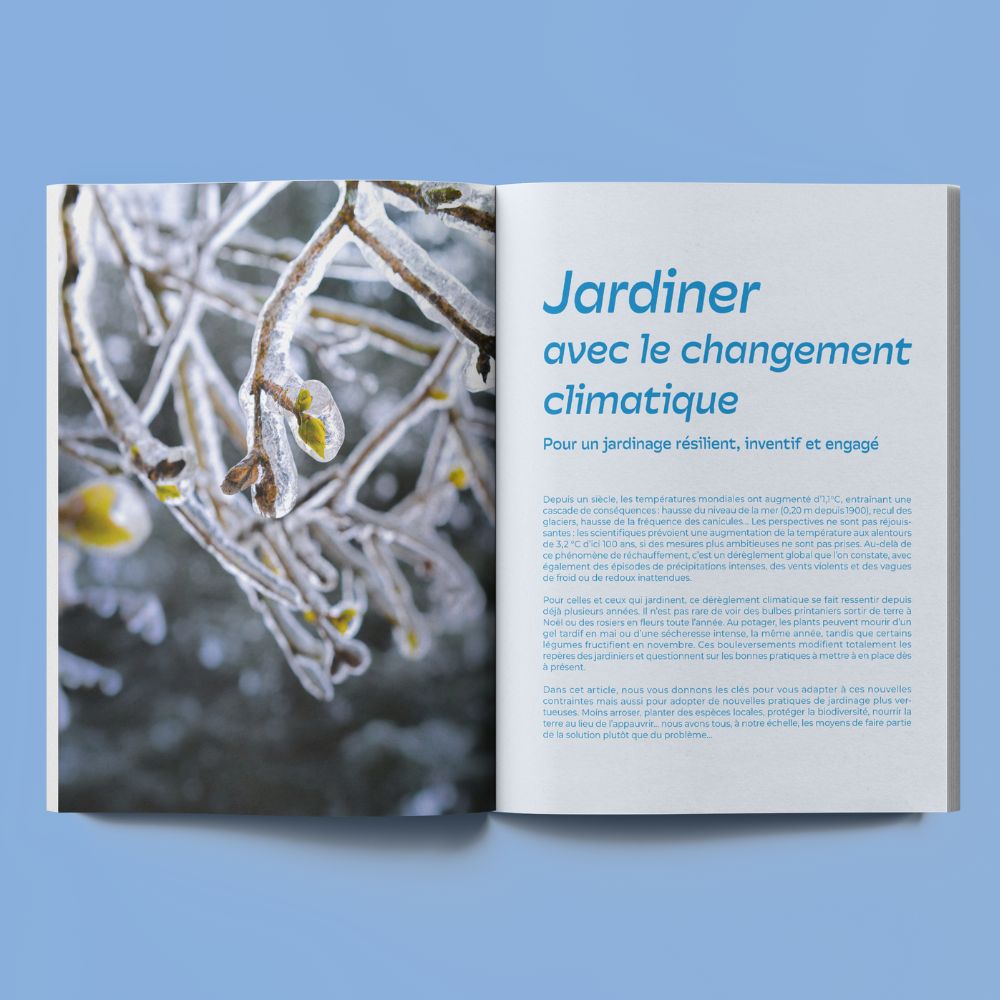 VEIR MAGAZINE - Nr. 20 Suche