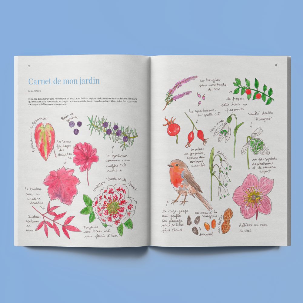 VEIR MAGAZINE - Nr. 20 Suche