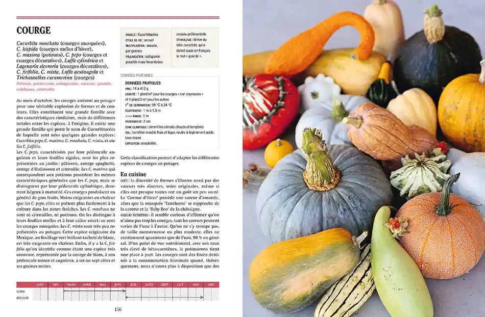 TOUS LES LEGUMES, POUR UNE AUTONOMIE ALIMENTAIRE RETROUVEE