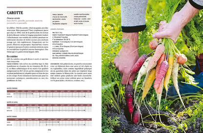 TOUS LES LEGUMES, POUR UNE AUTONOMIE ALIMENTAIRE RETROUVEE
