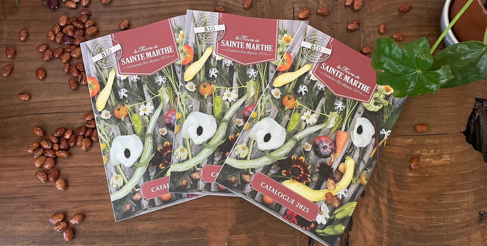 Ferme Sainte Marthe Catalogue