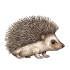 Kleine Tiere