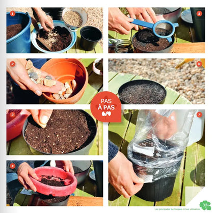 JE REUSSIS MES PLANTS DU PREMIER COUP 