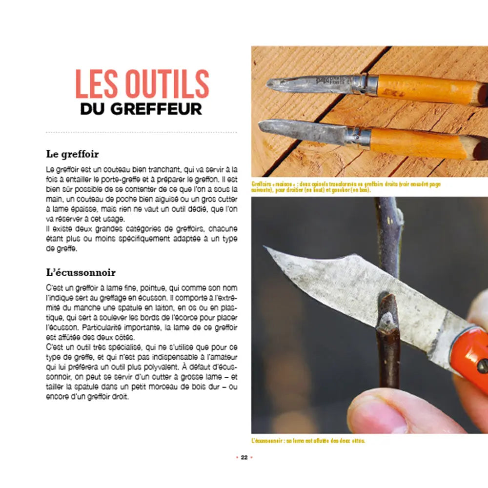 J´APPRENDS A GREFFER MES ARBRES FRUITIERS 