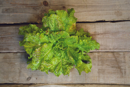 LAITUE A COUPER SAINT VINCENT AB 