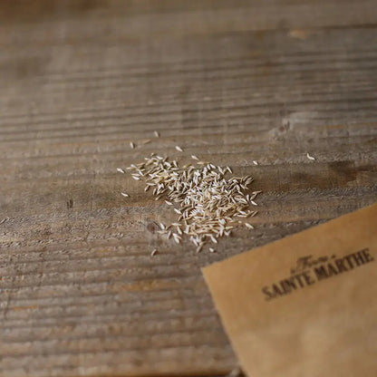 LAITUE POMMEE LILLOISE AB