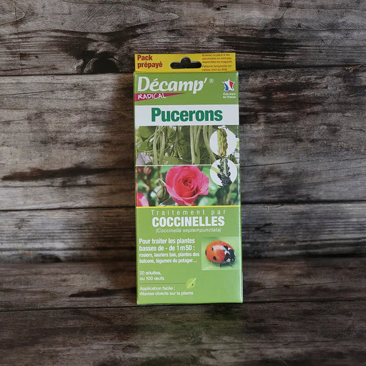 LARVES DE COCCINELLES POUR PLANTES BASSES 