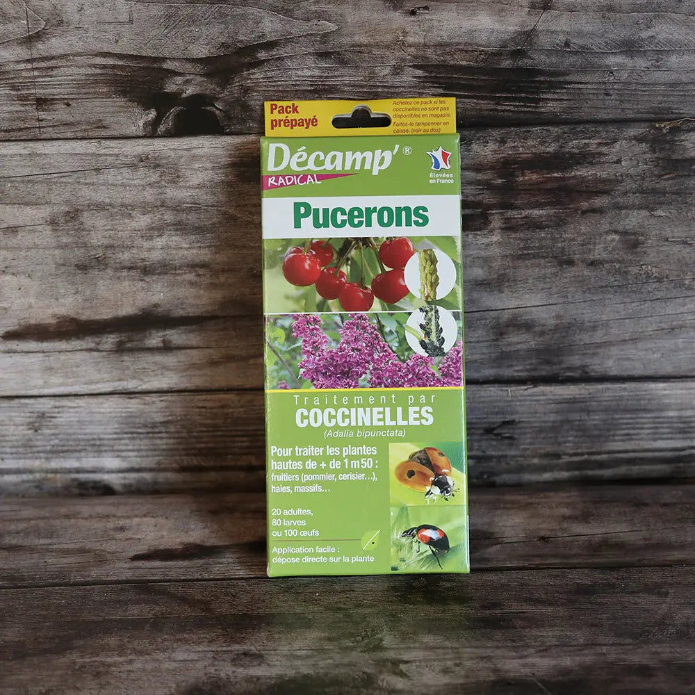 LARVES DE COCCINELLES POUR PLANTES HAUTES 