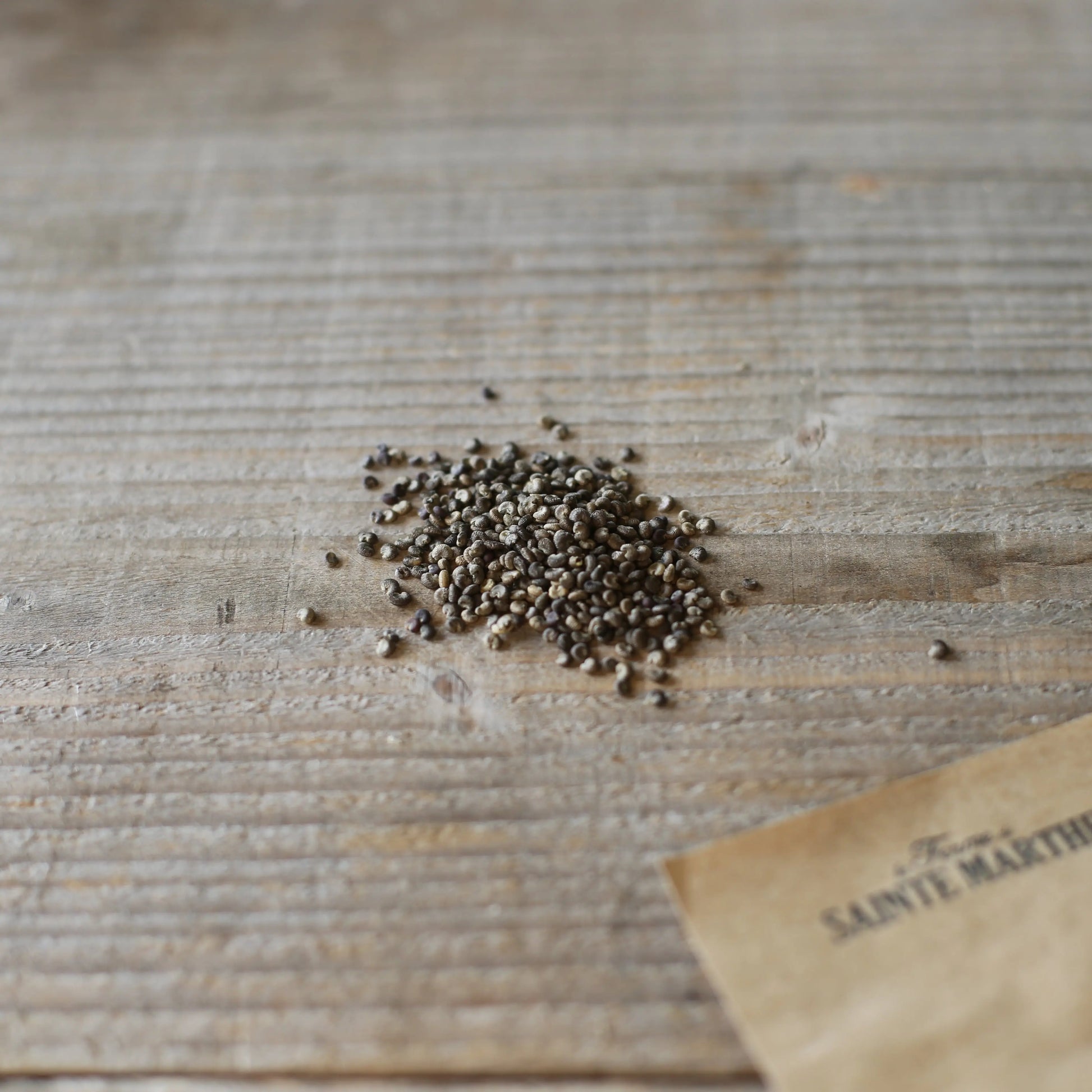 LAVATERE ANNUELLE AB 