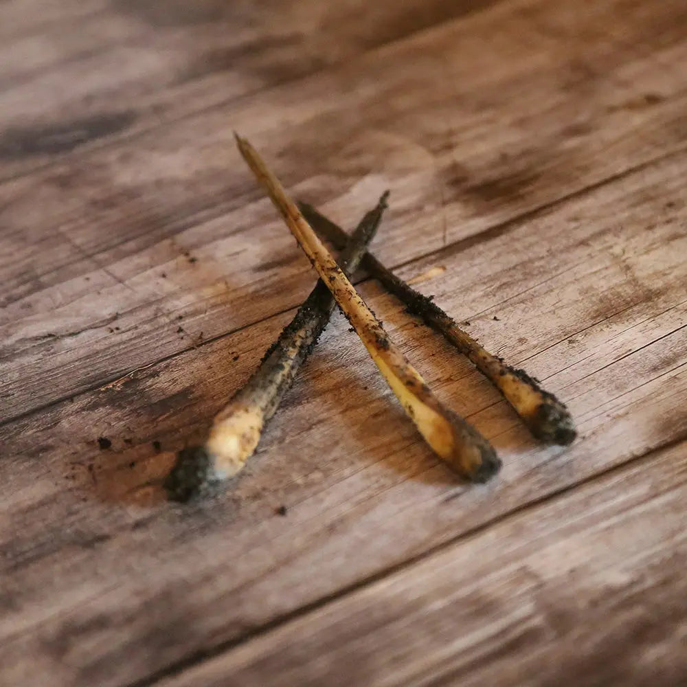 LEMONGRASS OU CITRONNELLE  (rhizome) 